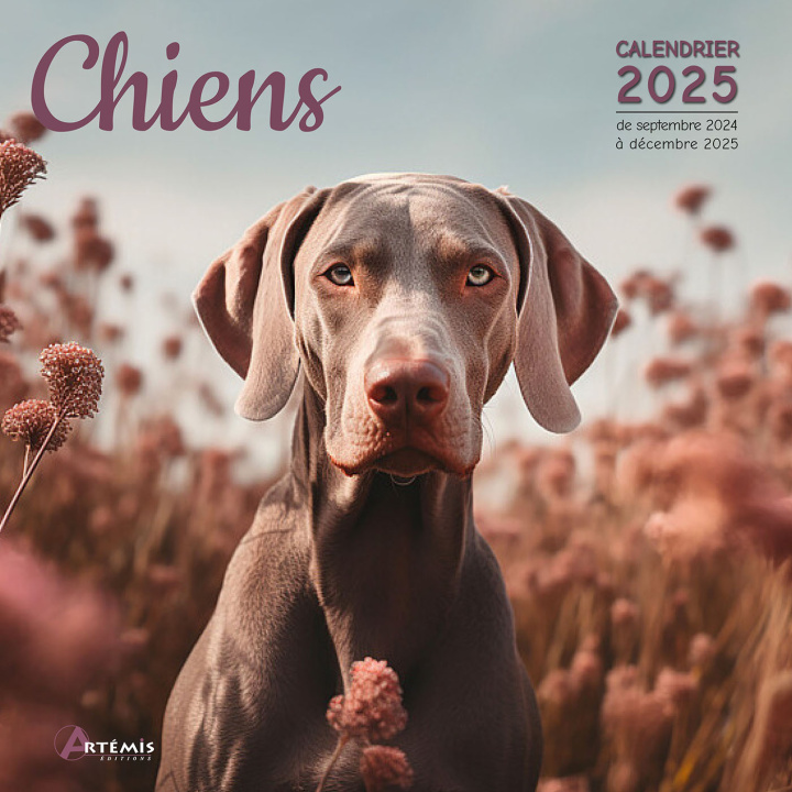 Kalendář/Diář CALENDRIER CHIENS 2025 