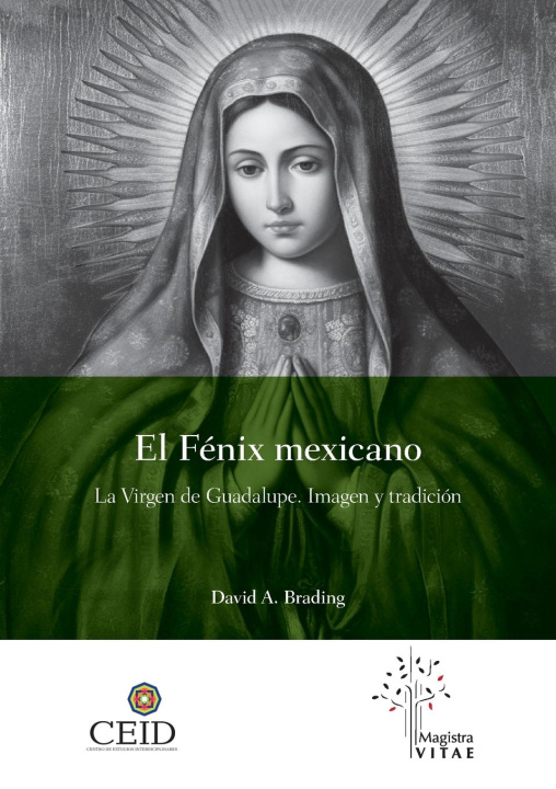 Könyv El Fénix mexicano. La Virgen de Guadalupe. Imagen y tradición 