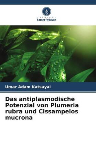 Könyv Das antiplasmodische Potenzial von Plumeria rubra und Cissampelos mucrona 