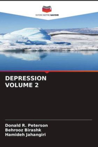 Livro DEPRESSION VOLUME 2 Behrooz Birashk