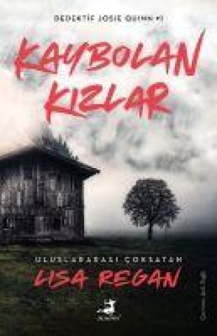 Book Kaybolan Kizlar 