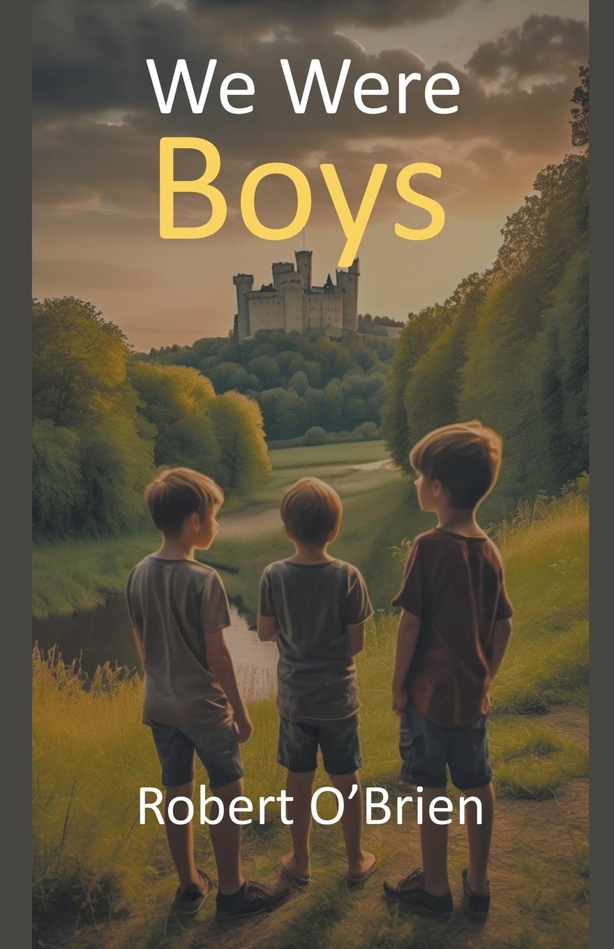 Knjiga We Were Boys Robert O'Brien