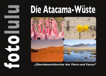 Knjiga Die Atacama-Wüste 