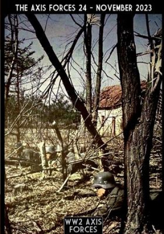 Libro The Axis Forces 24 Massimiliano Afiero