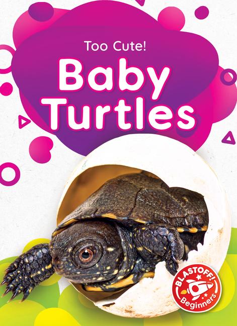 Knjiga Baby Turtles 