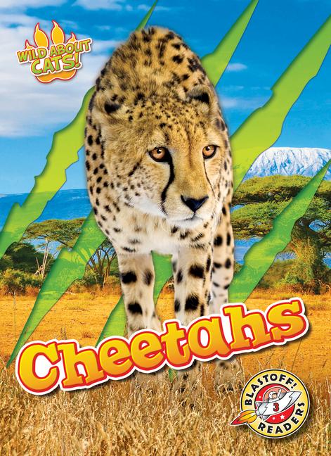Knjiga Cheetahs 