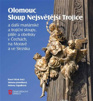 Книга Olomouc Sloup Nejsvětější Trojice Pavel Vlček