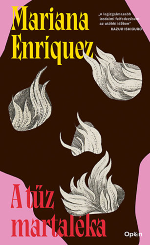 Книга A tűz martaléka Mariana Enriquez