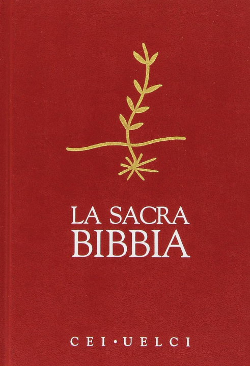 Book Sacra Bibbia 
