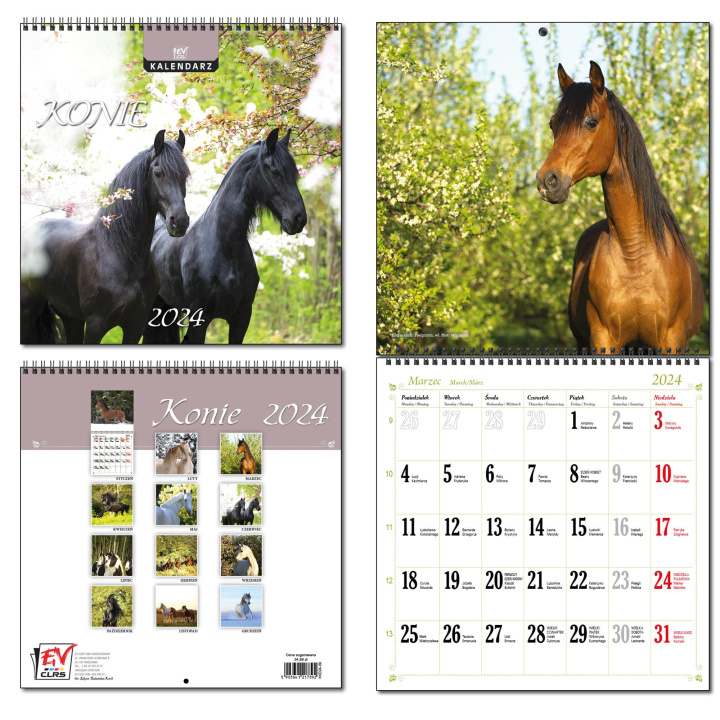 Carte Kalendarz 2024 ścienny 30 x 60 cm 13 planszowy Konie 