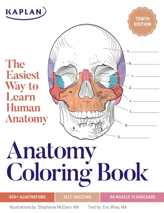 Könyv Anatomy Coloring Book with 450+ Realistic Medical Illustrations with Quizzes for Each Eric Wise