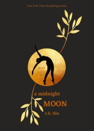 Book A Midnight Moon Sin