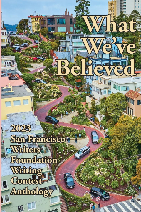 Knjiga What We've Believed E. A. Provost