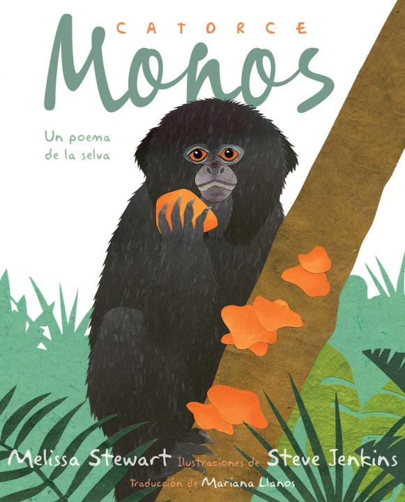 Kniha Catorce Monos (Fourteen Monkeys) Steve Jenkins