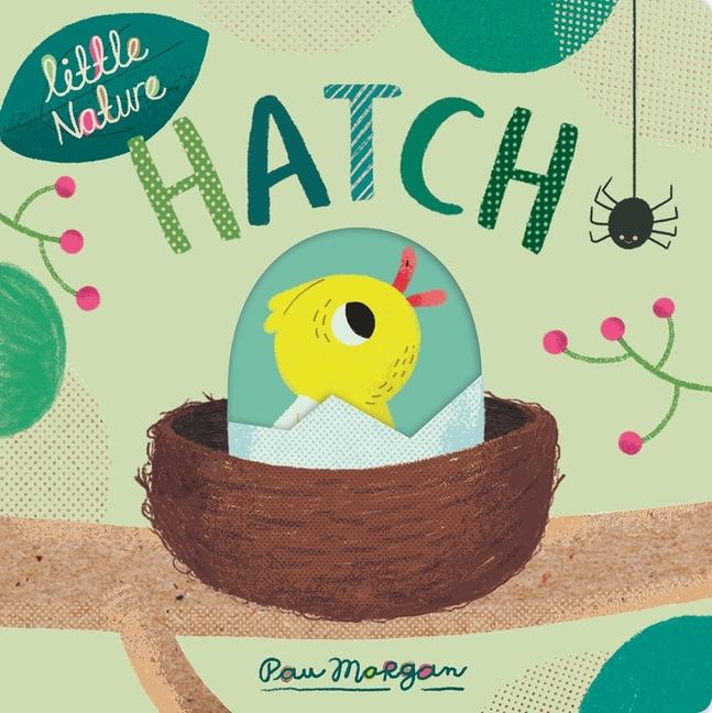 Książka Hatch Pau Morgan