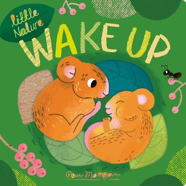 Book Wake Up Pau Morgan