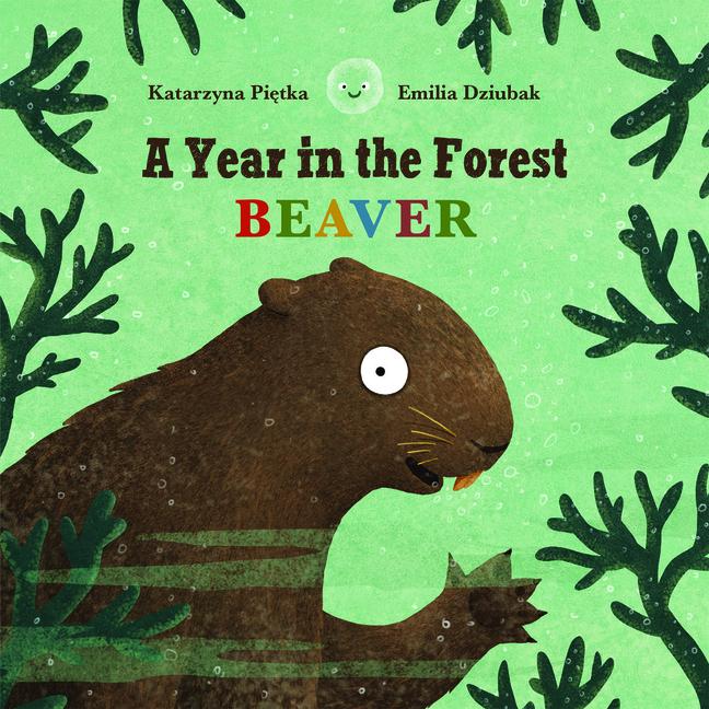 Książka A Year in the Forest with Beaver Emilia Dziubak