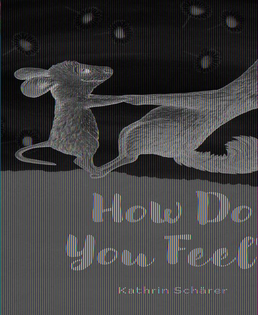 Knjiga How Do You Feel? Kathrin Schärer
