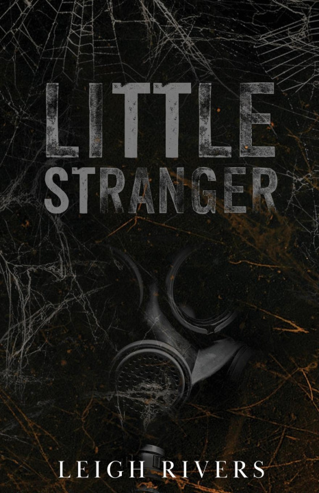 Książka Little Stranger 