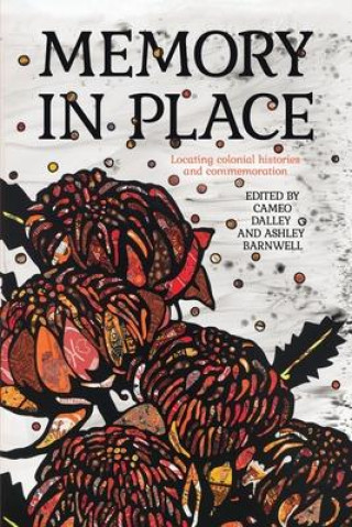 Boek Memory in Place Ashley Barnwell