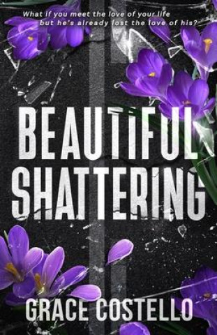 Knjiga Beautiful Shattering M F Lorson