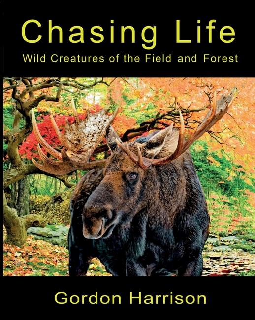 Knjiga Chasing Life Gordon Harrison