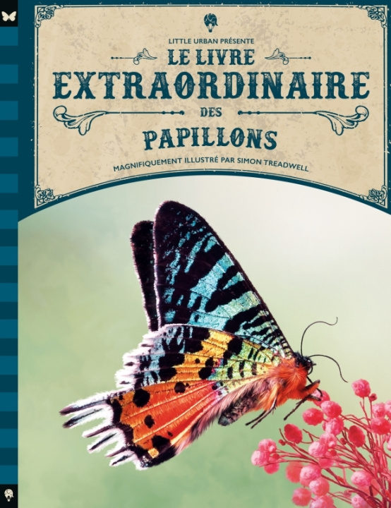 Libro Le livre extraordinaire des papillons Taylor Barbara