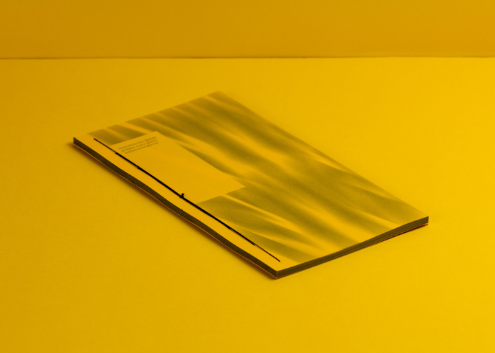 Knjiga Interstices Lou Dimay