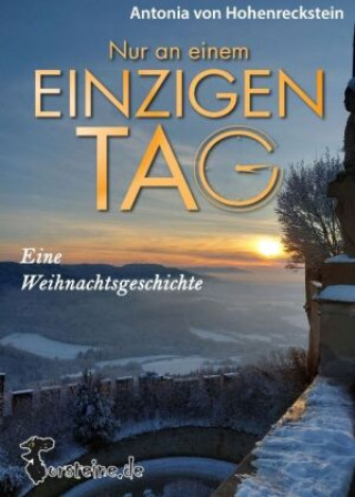 Buch Nur an einem einzigen Tag Oliver Grudke