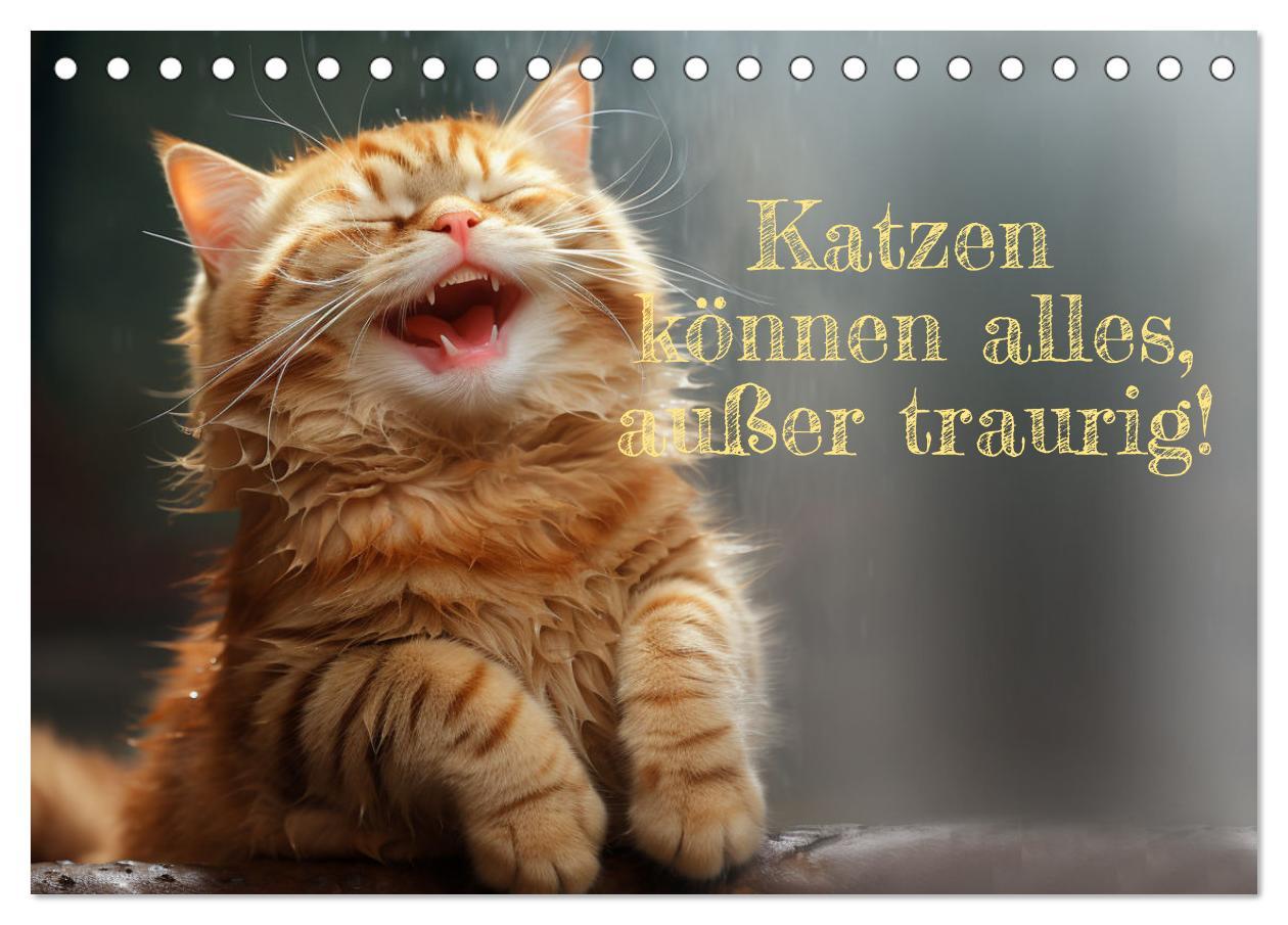 Kalendár/Diár Katzen können alles, außer traurig. (Tischkalender 2024 DIN A5 quer), CALVENDO Monatskalender Calvendo