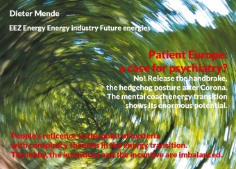 Книга Patient Europe: a case for psychiatry? No! Release the handbrake, the hedgehog posture after Corona. Dieter Mende