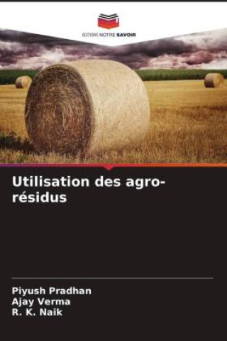 Kniha Utilisation des agro-résidus Ajay Verma