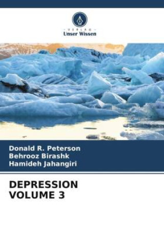 Könyv DEPRESSION VOLUME 3 Behrooz Birashk