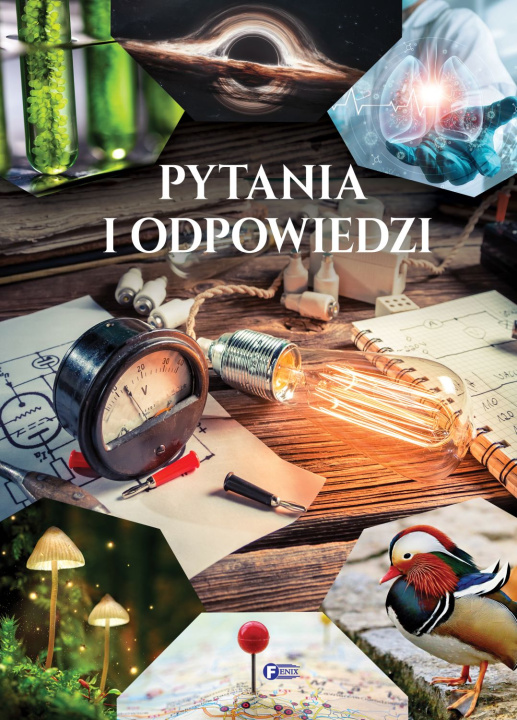 Buch Pytania i odpowiedzi Opracowanie zbiorowe