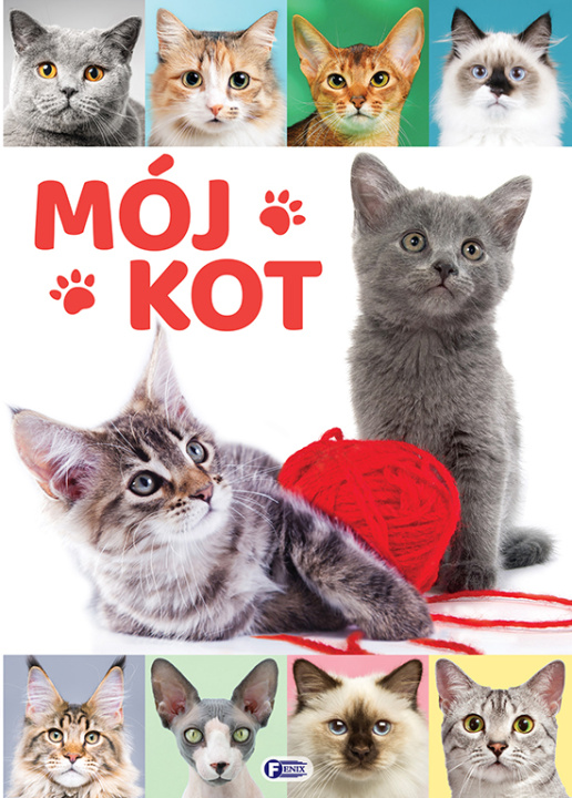 Buch Mój Kot Opracowanie Zbiorowe