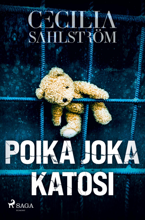 Buch Poika joka katosi Pasi Punnonen