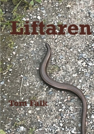 Kniha Liftaren Tom Falk