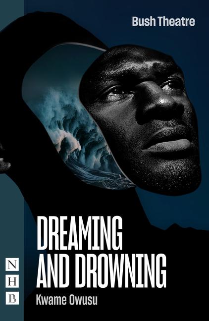 Knjiga Dreaming and Drowning Kwame Owusu