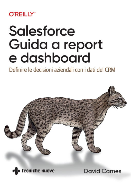 Carte Salesforce: guida a Report e Dashboard. Definire le decisioni aziendali con i dati del CRM David Carnes