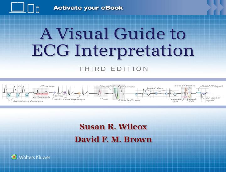 Книга Visual Guide to ECG Interpretation Wilcox & Brown