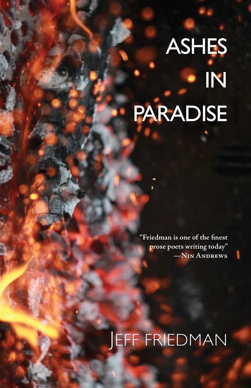 Boek Ashes in Paradise Jeff Friedman