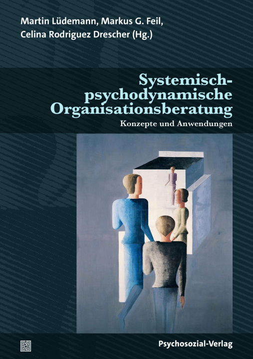 Kniha Systemisch-psychodynamische Organisationsberatung Martin Lüdemann