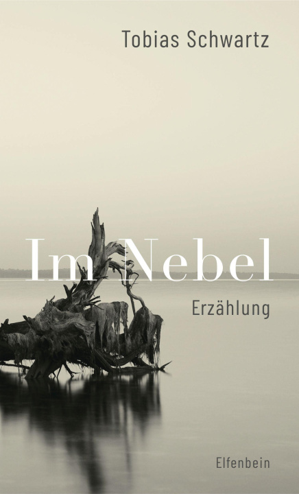 Boek Im Nebel Tobias Schwartz
