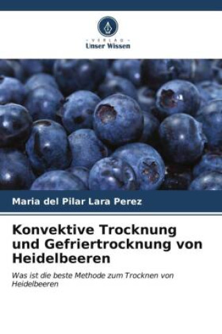 Książka Konvektive Trocknung und Gefriertrocknung von Heidelbeeren 