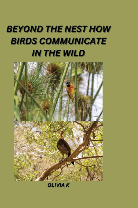 Buch Beyond the Nest Olivia K