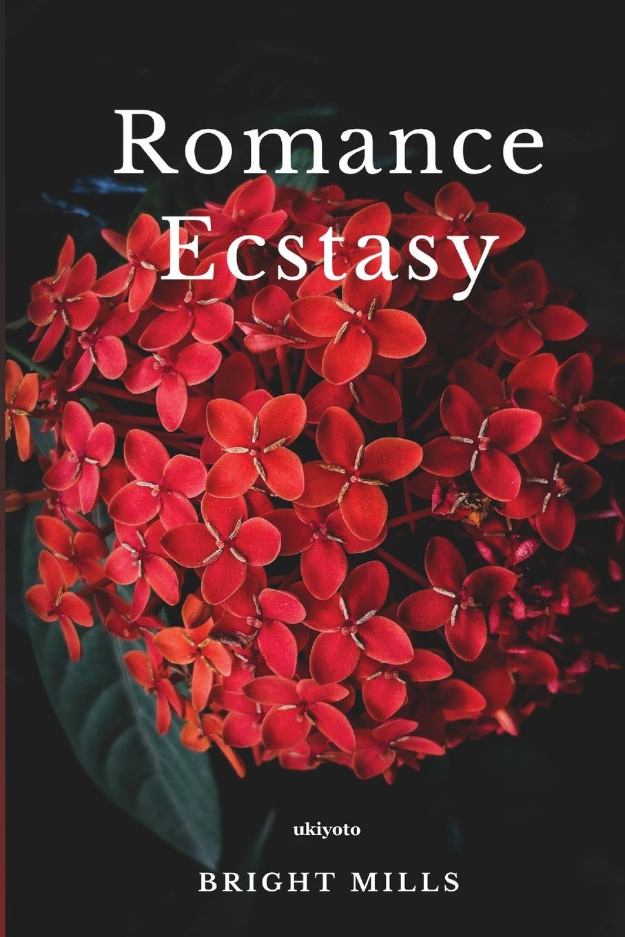 Knjiga Romance Ecstasy Bright Mills