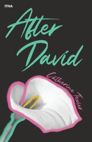 Buch After David 