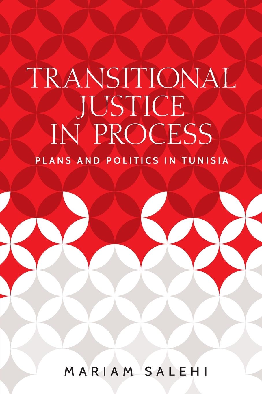 Knjiga Transitional justice in process Mariam Salehi