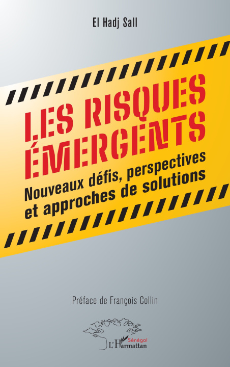 Kniha Les risques émergents Sall