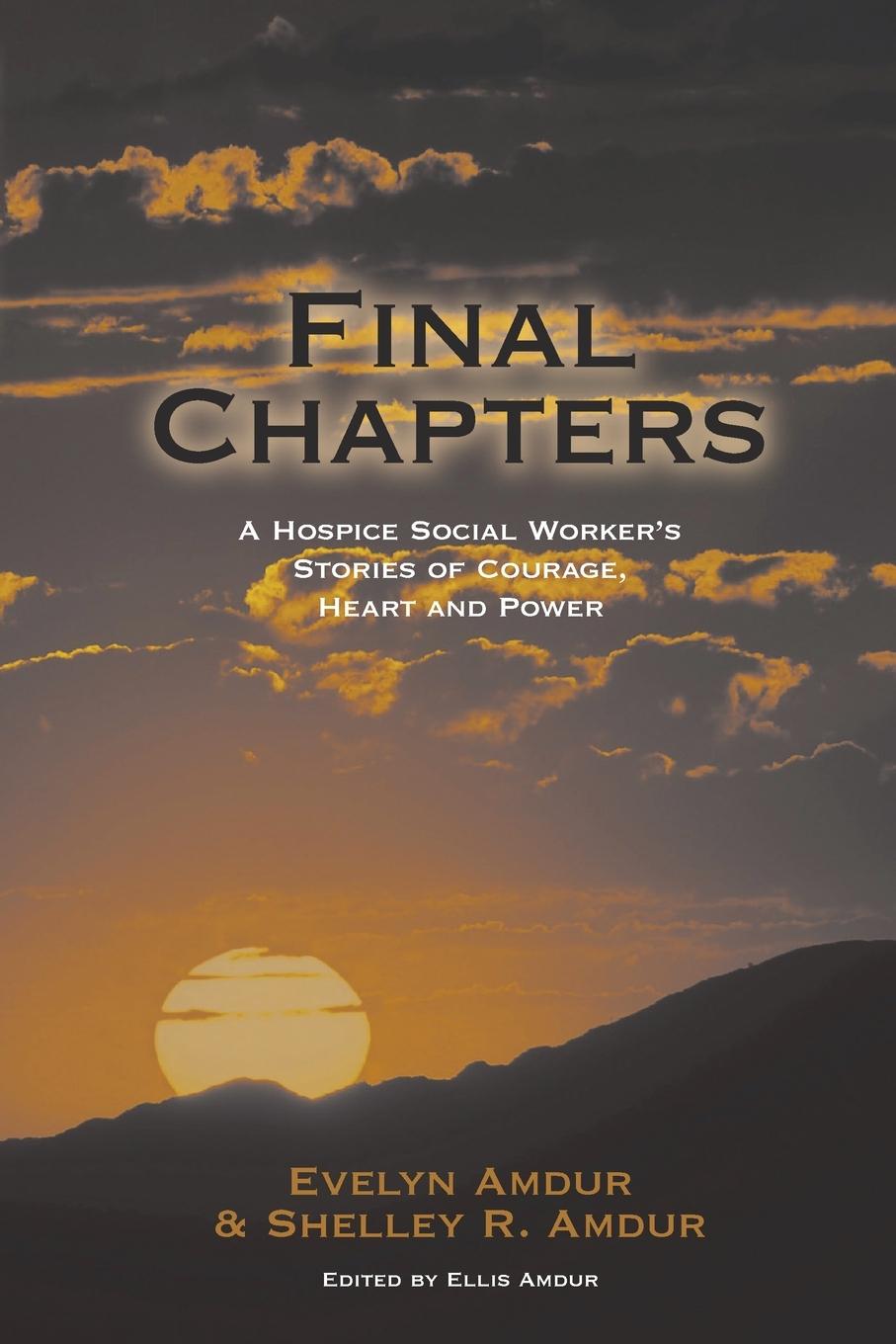 Buch Final Chapters Shelley R Amdur